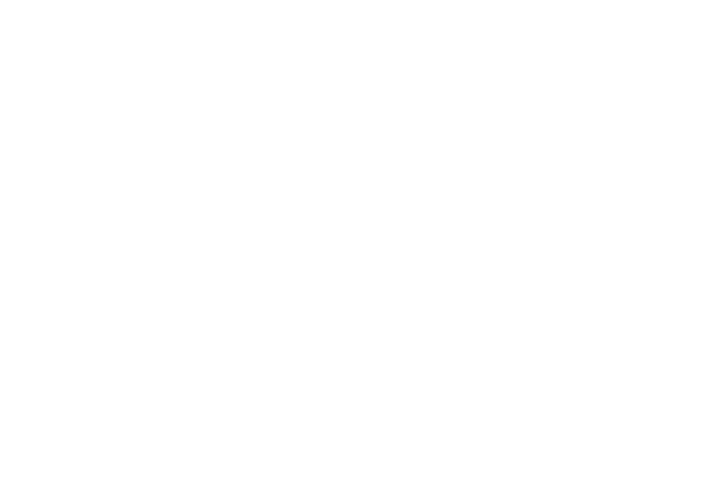 Pontes Rodoviárias Mistas Aço-Concreto de Acordo com Normas Brasileiras